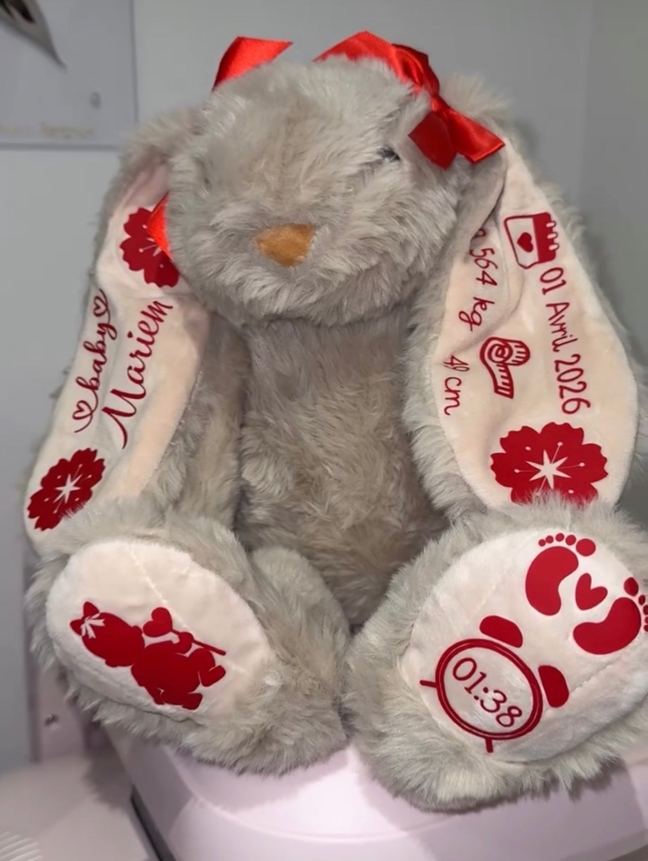 Peluche Lapin Personnalisée - Cadeau de Naissance Gravé